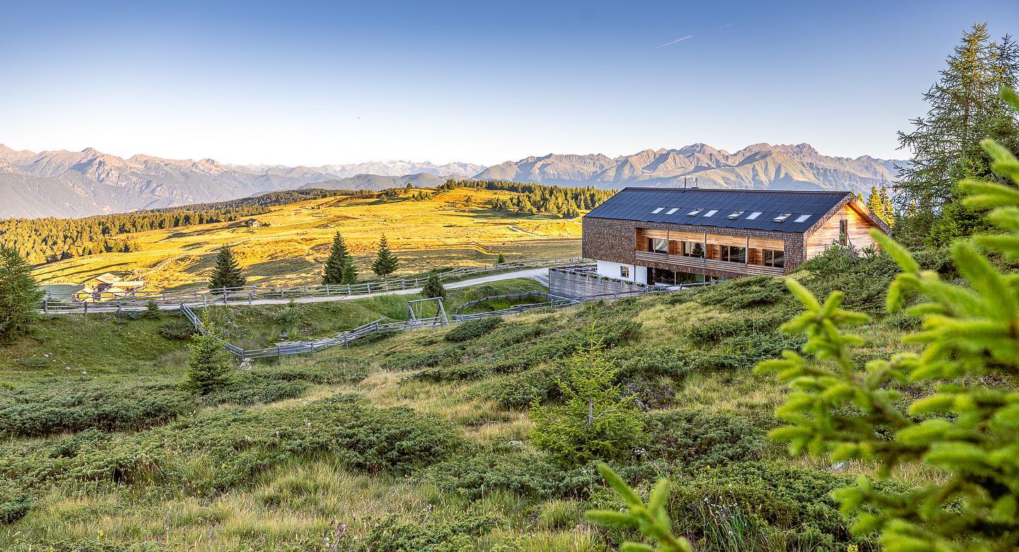 312592133_810403603609072_609015827329612308_n